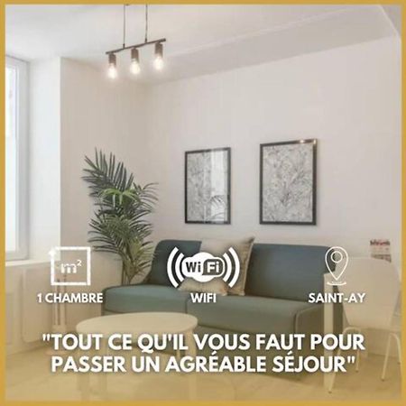 Appartement Charme De Loire A St Ay *T2* à Saint-Ay Extérieur photo