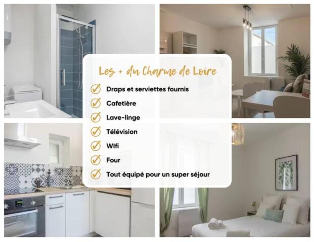 Appartement Charme De Loire A St Ay *T2* à Saint-Ay Extérieur photo